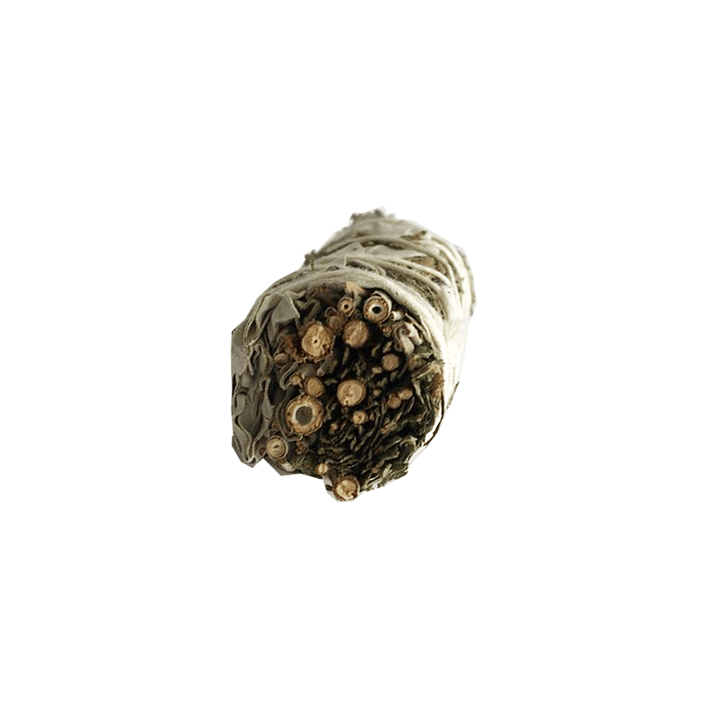 Atado de Salvia Blanca con Cedro – 10 cm