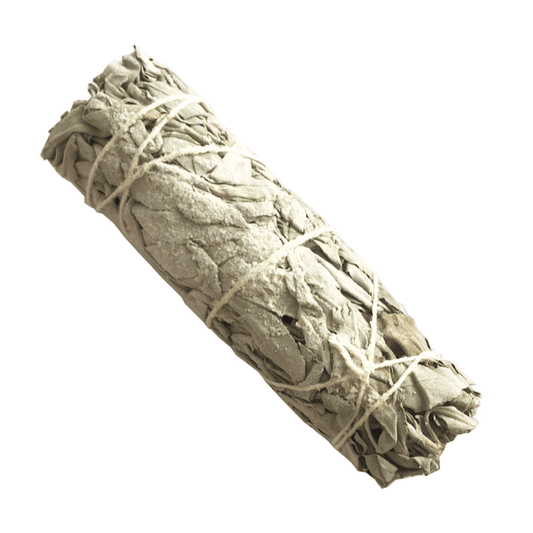 Atado de Salvia Blanca con Copal – 10 cm
