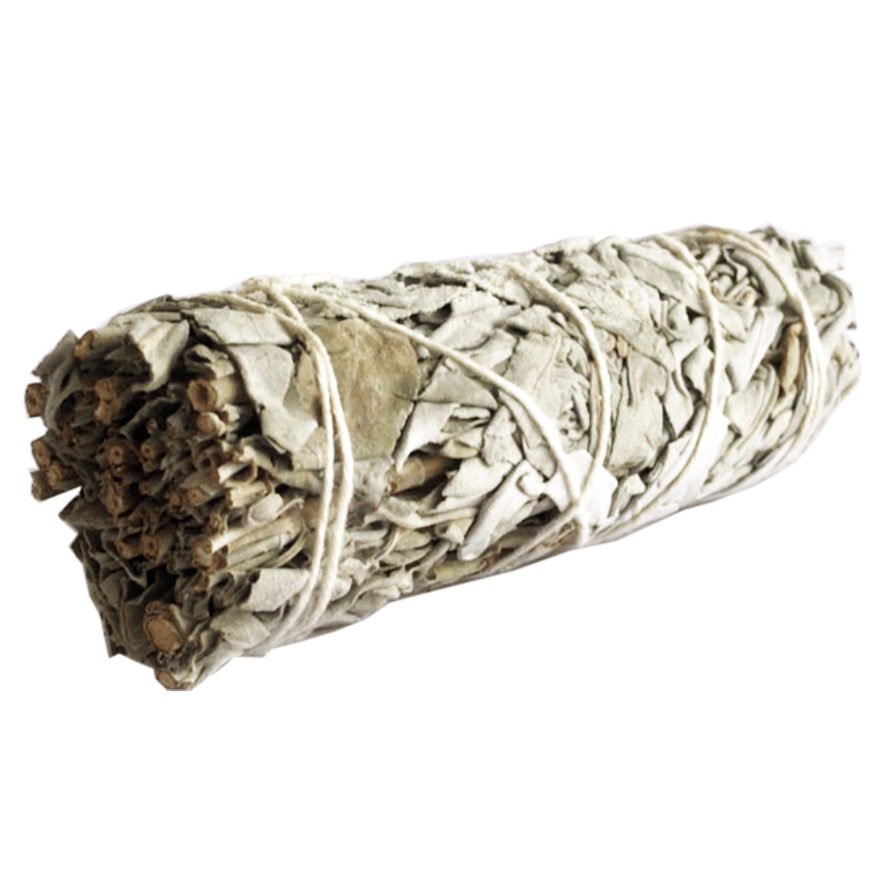 Atado de Salvia Blanca con Copal – 10 cm