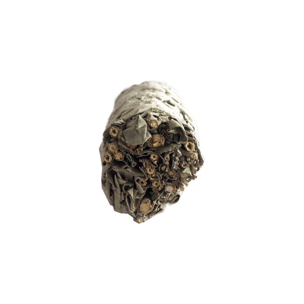 Atado de Salvia Blanca con Copal – 10 cm