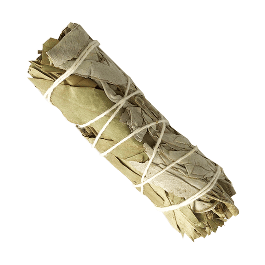 Atado de Salvia Blanca con Eucalipto – 10 cm