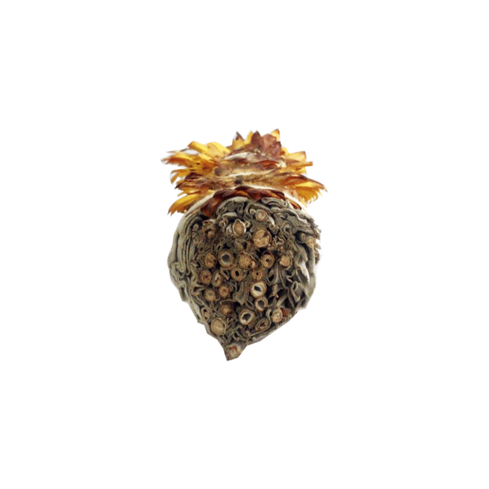 Atado de Salvia Blanca con Flor de Papel Naranja – 10 cm