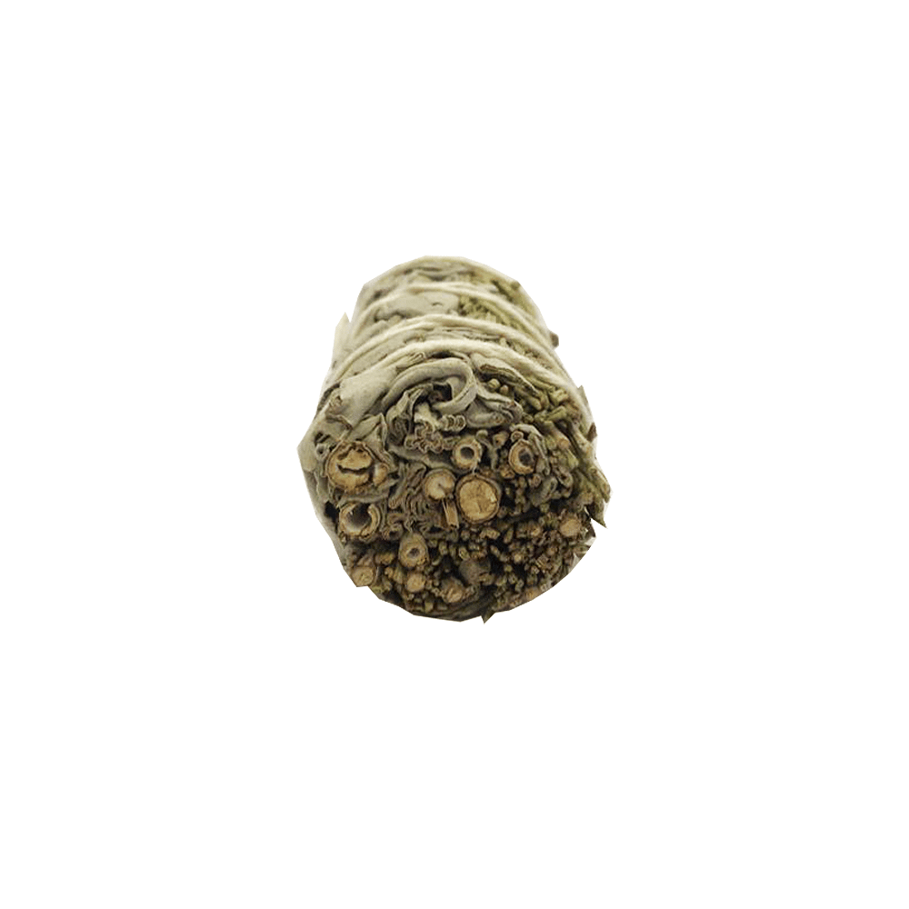 Atado de Salvia Blanca con Romero – 10 cm