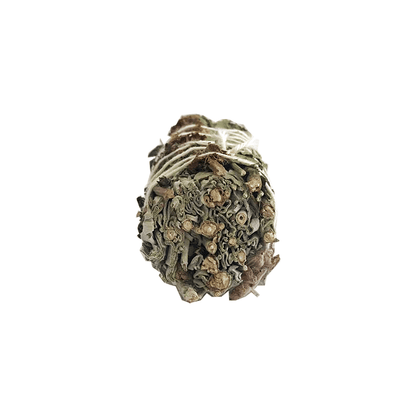 Atado de Salvia Blanca con 7 Hierbas – 7 Potencias – 10 cm