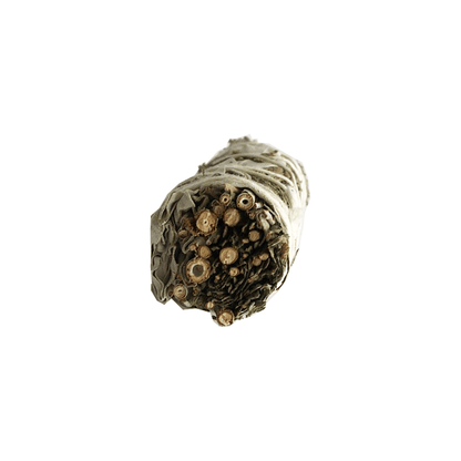 Atado de Salvia Blanca con Cedro – 10 cm