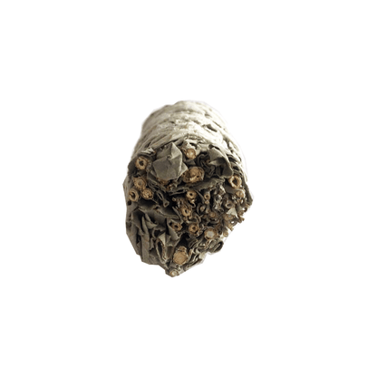 Atado de Salvia Blanca con Copal – 10 cm