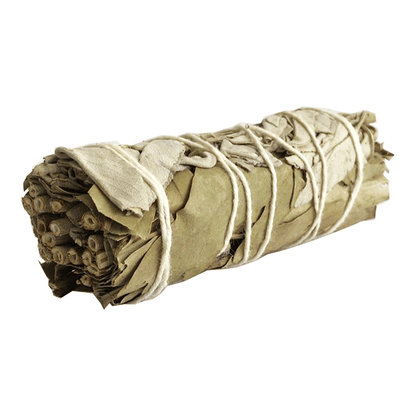 Atado de Salvia Blanca con Eucalipto – 10 cm