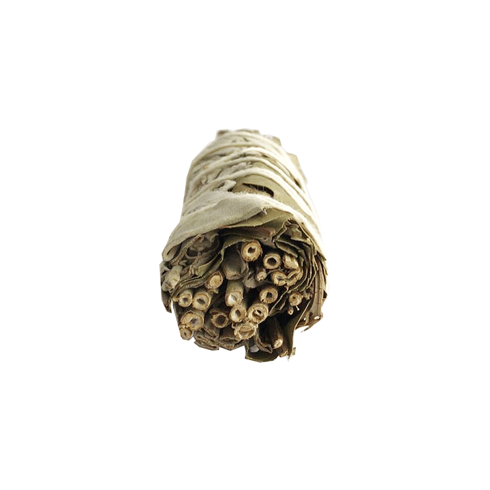 Atado de Salvia Blanca con Eucalipto – 10 cm