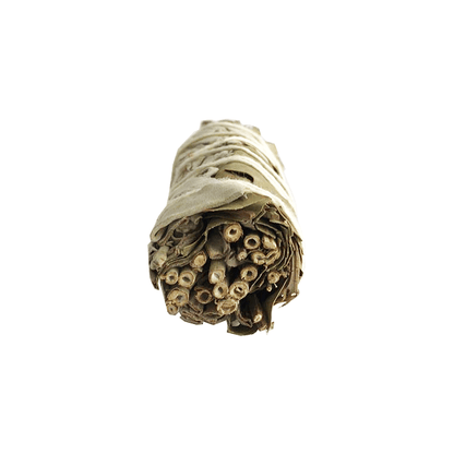 Atado de Salvia Blanca con Eucalipto – 10 cm